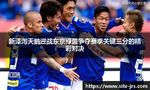 新泽泻天鹅迎战东京绿茵争夺赛季关键三分的精彩对决